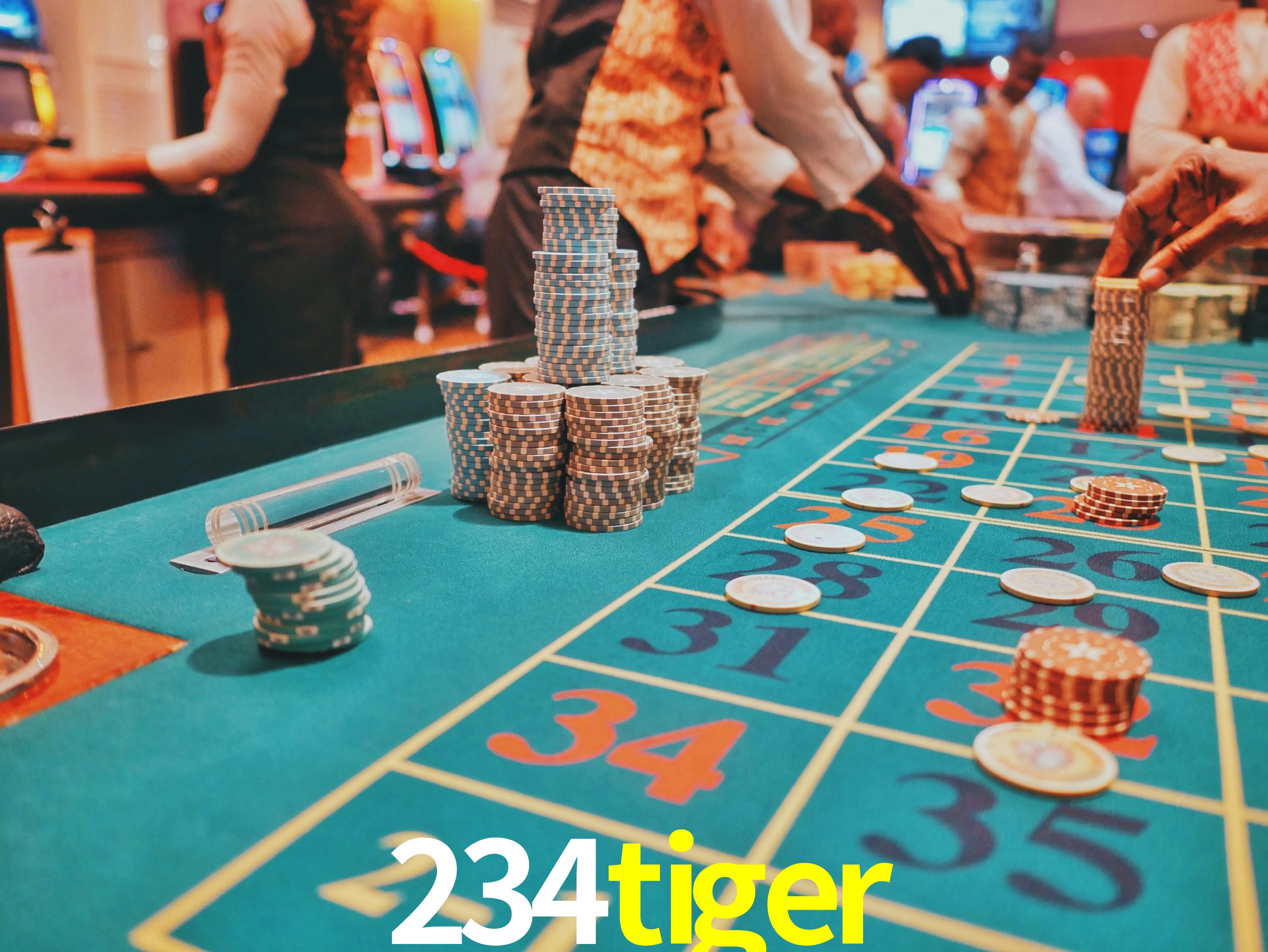 Casino VIP 234tiger