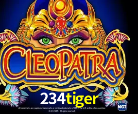 Cadastro rápido e seguro na 234tiger