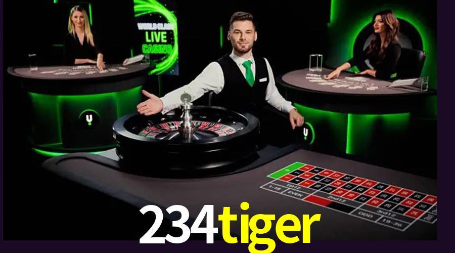 Security Systems 234tiger